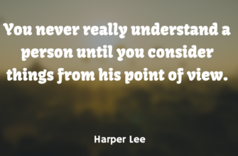 You never really understand a person until you consider things from his point of view.