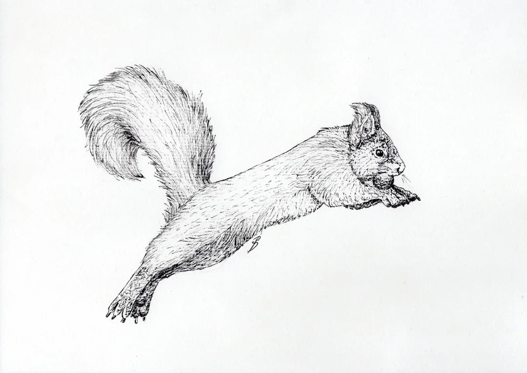 sketch quotes streamer